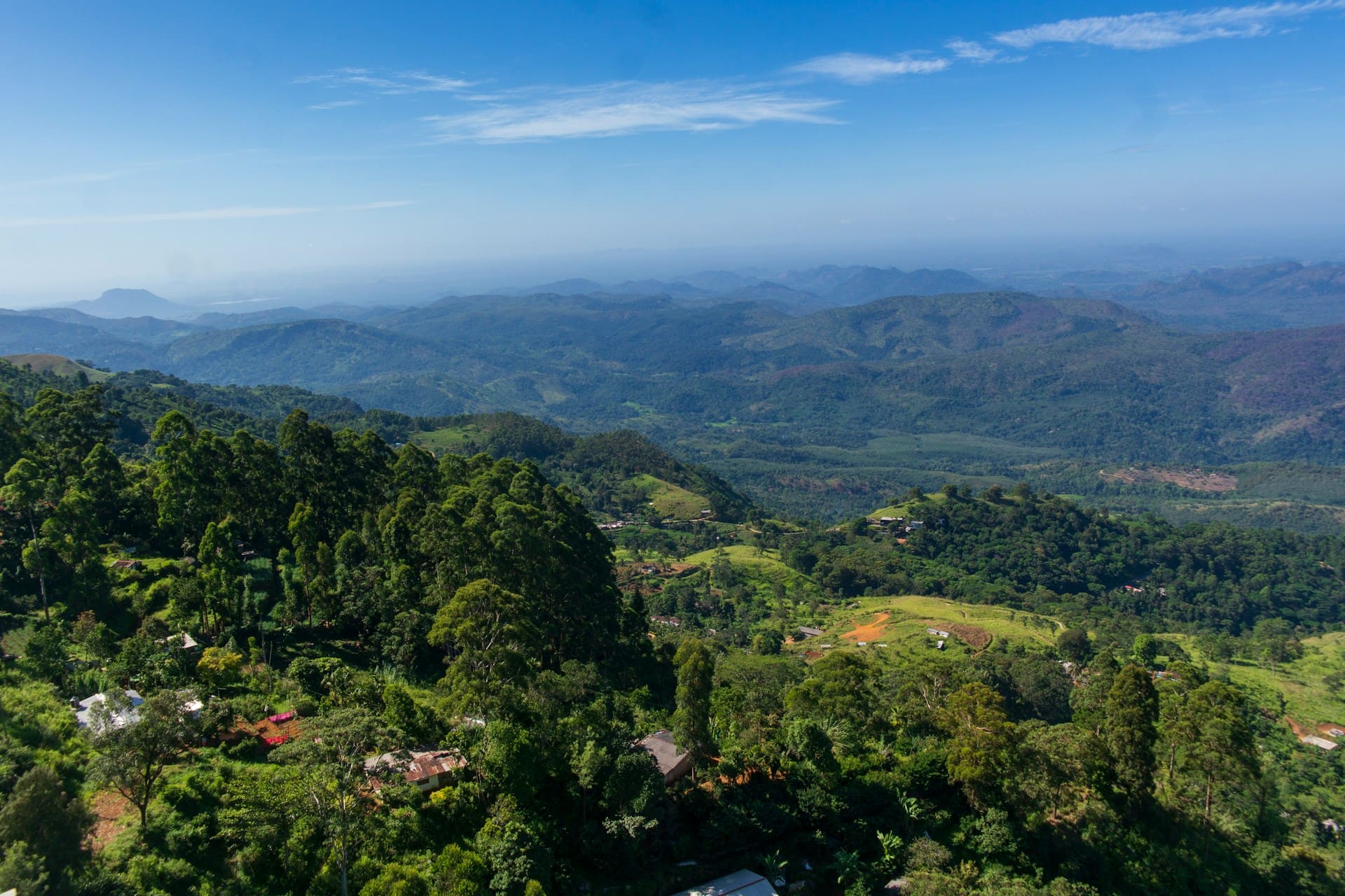 Misty Mountain Expedition